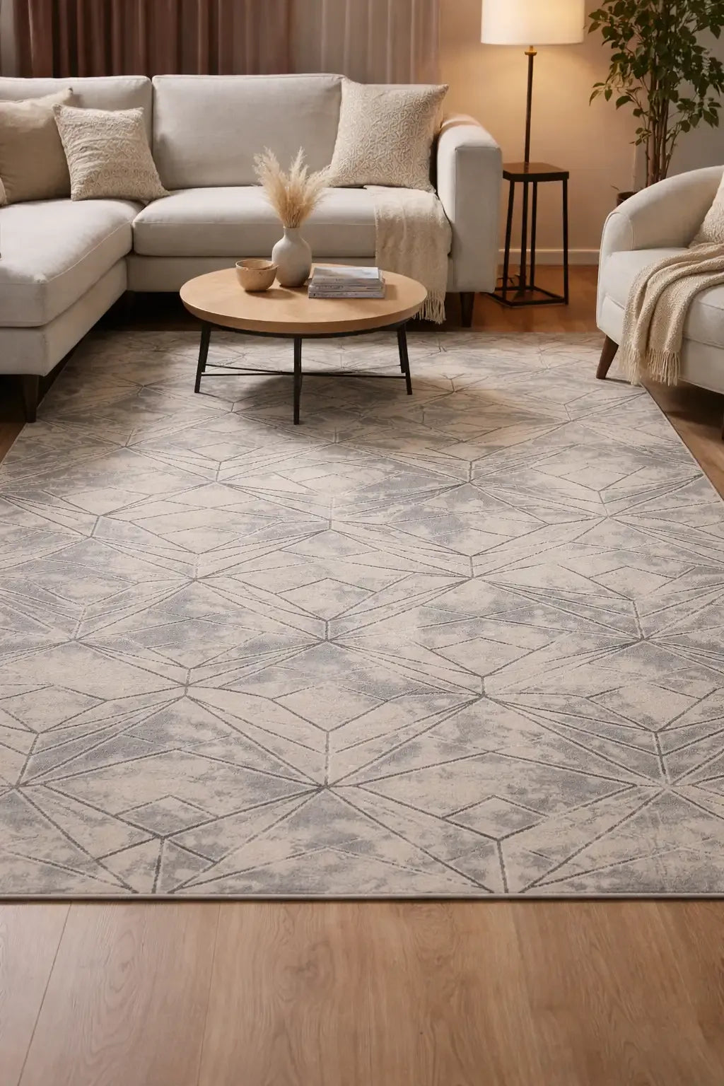 Tomasio Modern Rug Grey in room
